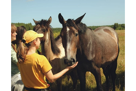 Иппоадвенция — разновидность иппотерапии