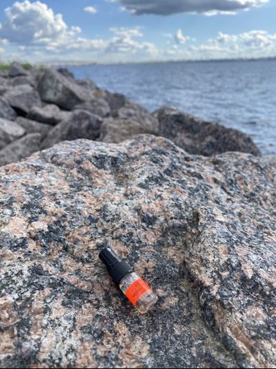 Духи АККОРД: ЧЁРНЫЕ КОШКИ 2,5 мл