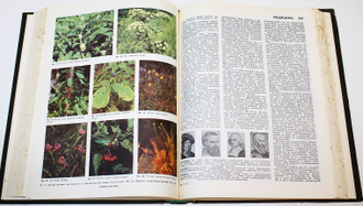 Популярная медицинская энциклопедия. Главный редактор В.И. Покровский. М.: Советская энциклопедия. 1991.