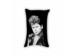 Подушка Сектор Газа, Юрий Хой №15