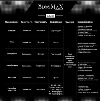 База BlooMaX