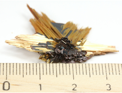 Редкость! Рутил свободного роста, сростки "звезды" золотистых игольчатых кристаллов на кристаллах гематита, Бразилия (35*21*6 мм, 2,6 г) №37920