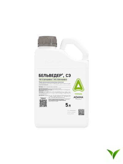 Бельведер СЭ 5 л