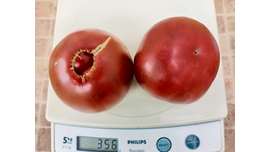 Занавыес Маргарет