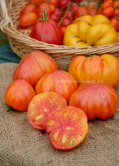 Томат Огненный Поцелуй Биколор с носиком, 10 шт