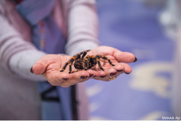 Хабаровск 2021