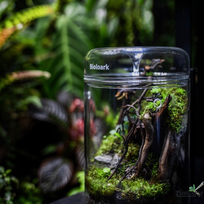 Набор для биодизайна  Biolark LH-03