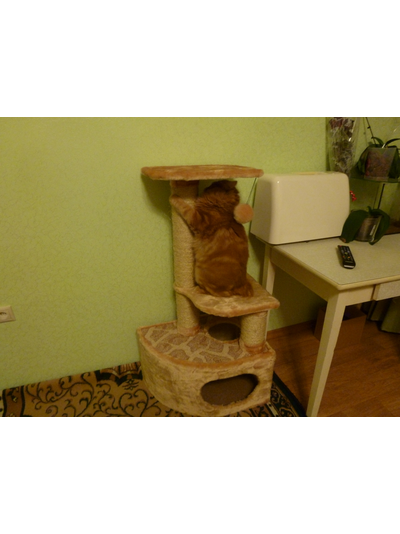 Домик для кошки Любимый №041