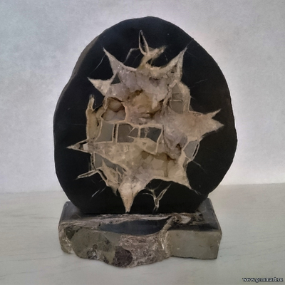 Септария - полированный спил. Россия. 242*210*130мм