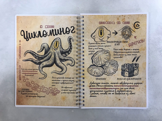 Дневник №2 на пружине с картинками