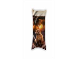 Дакимакура год Кролика №14