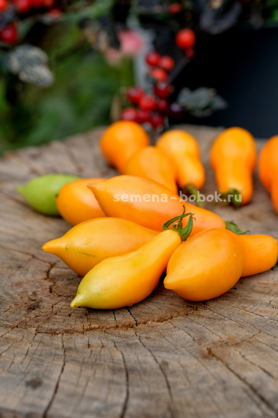 Томат Валентино ( Valentino ), 10 шт