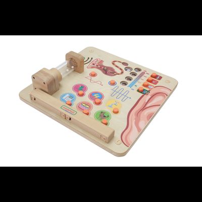 Панель "Познакомься со звуком"