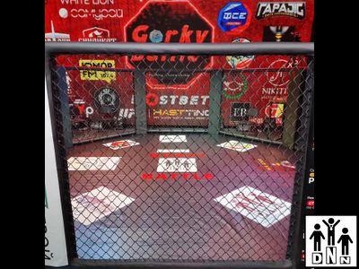 Клетка для ММА (диаметр 6 м без помоста) DNN