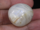 Лунный камень, Адуляр, галтовка, Индия (26*22*7 мм, 16 г) №26655