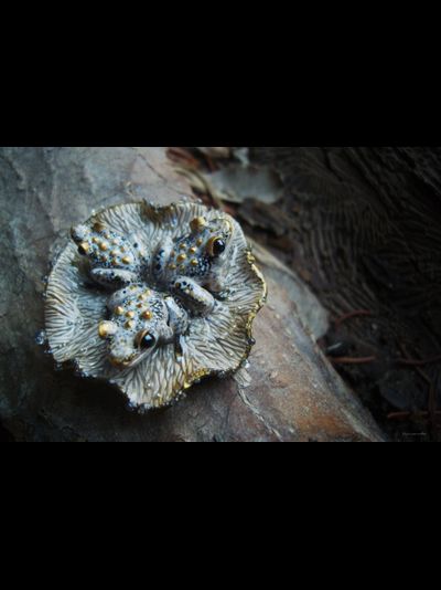 &quot;Дочери лесного царя&quot;, волшебная брошь с лягушками и каплями (миниатюра, 4 см)