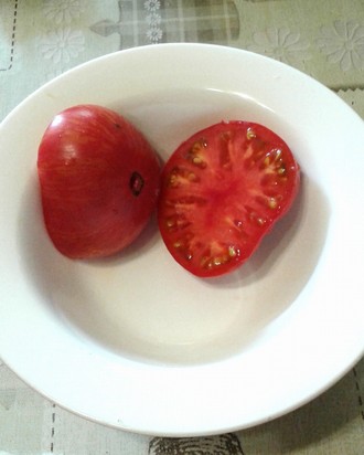 Семена томата Жар-птица сладкая Гном