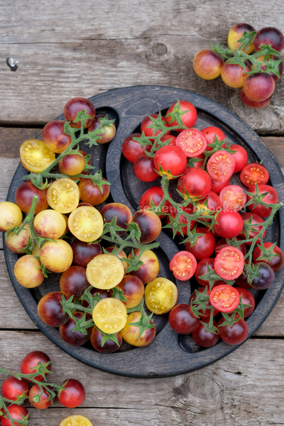 Томат Маленький Красный Корвет (Little Red Corvete), 10 шт