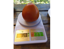 Томат Сердце Хибы (Imini de Hiba), Румыния