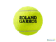 Теннисные мячи Wilson Roland Garros All Court x4