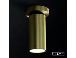 Настенно-потолочный светильник iLamp PLUM 8861C BRASS&BLACK