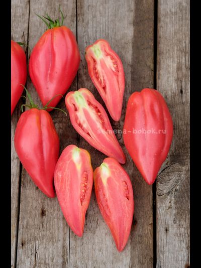 Томат Тюльпан Розовый, 5 шт