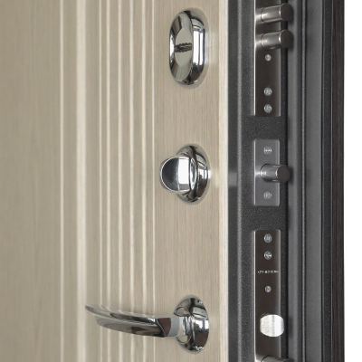 Стальная дверь   Викинг