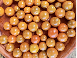 Томат Темно-оранжевый мускат (Dark Orange Muscat) США