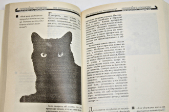 Непомнящий Н. 100 кошачьих `почему?`. М.: Вагриус. 1993г.