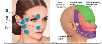 Фитокомплекс №22 для лечения позвоночника