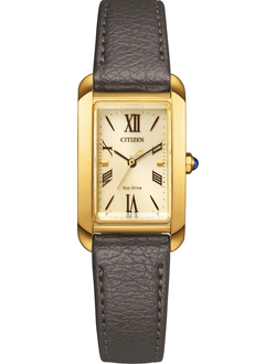 Наручные часы Citizen EW5622-09P