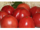 ROSE TOMATO (Розовый томат)