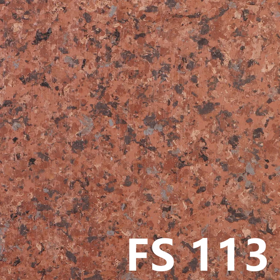 FS113