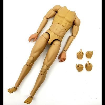 Тело без шеи 1/6 - (AL100034) - Alertline