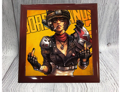 Шкатулка Borderlands, Бордерленд №18