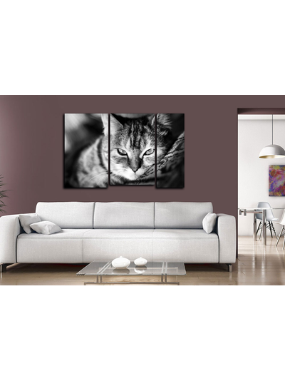 Модульная картина &quot;Кошачье блаженство&quot;