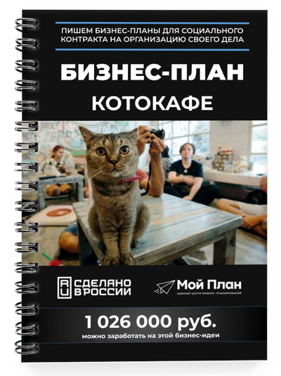 Бизнес-план для соцконтракта. Ниша: Котокафе.