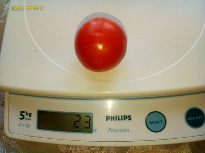 Томат Паста Бернардини (Pasta Bernardini)