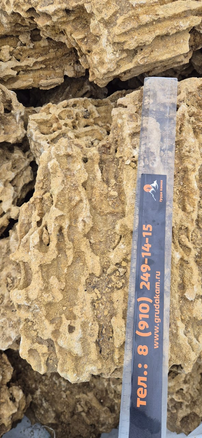 Миотис, фракция 100-500 мм