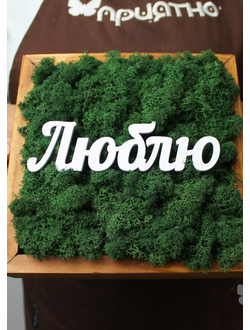 ЖИВАЯ ЭКО-КАРТИНА 1060