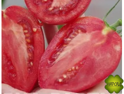 ТОМАТ "ФУКС" ВЫСОКИЙ, 140 г очень урожайный