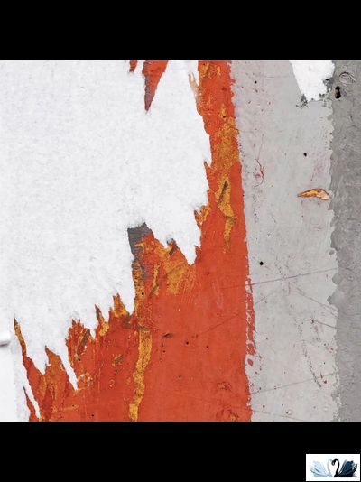 Керамогранит Simpolo Scs Arti Dove 19,8х19,8 см с орнаментом