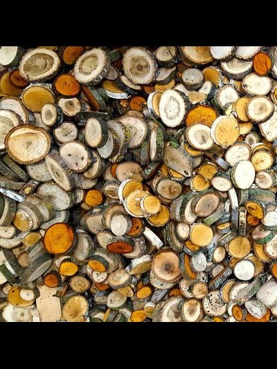 квадратный метр нешлифованных спилов