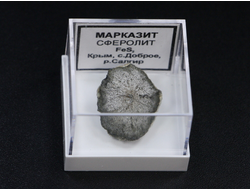 Марказит (Сферолит), в пластиковом боксе, Крым, с. Доброе №24180