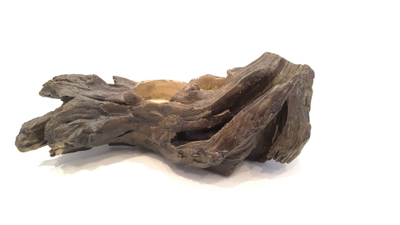 Укрытие и кормушка в виде дерева PetPetZone для гекконов