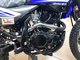 Racer Panther Lite RC250GY-C2A