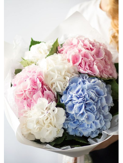 7 гортензий (цвет на выбор)