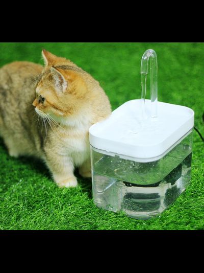 Автопоилка - фонтан для кошек с краном