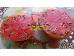 Томат Гари о Сена (Gary'O Sena)