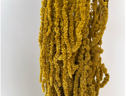 Амарант оливковый